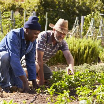 Two men gardening